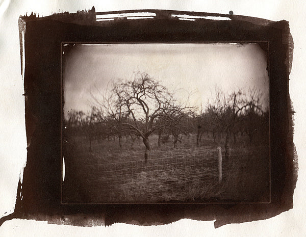 Wet Plate und Salzprint Workshop