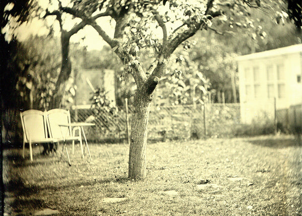 Wetplate, Kollodium, Collodion, Ambrotype, Ambrotypie