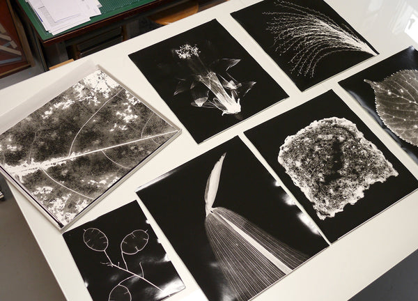 Kunst des Photogramms