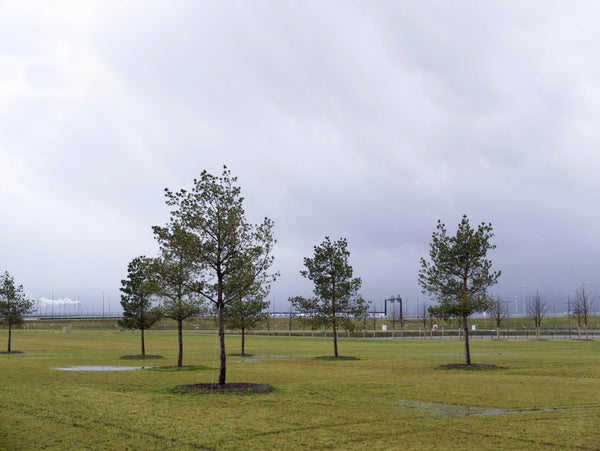 Terminal Norbert Wiesneth 06